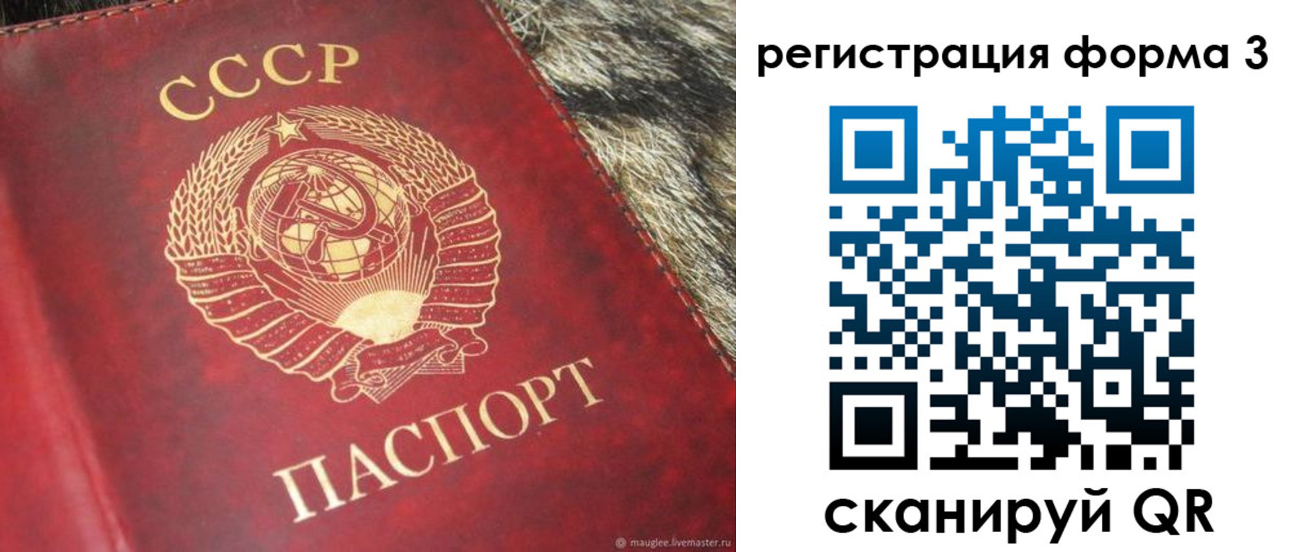 прописка регистрация в Щиграх